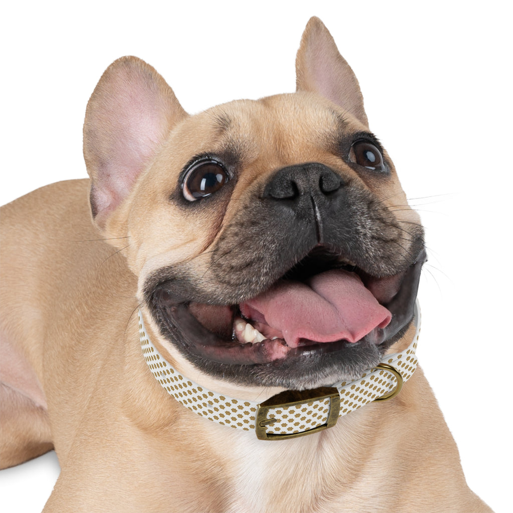 Gold Paw Print Dog Collar — White Patterned Pet Collar