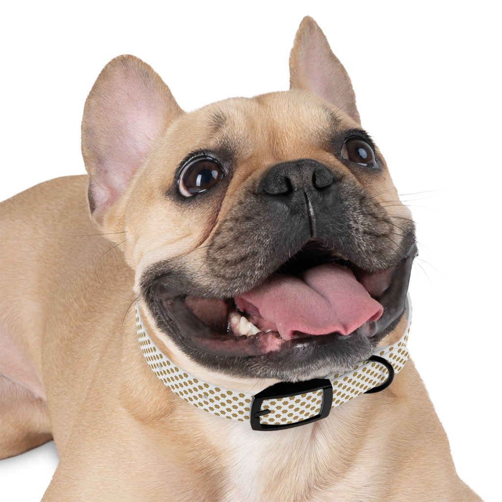 Gold Paw Print Dog Collar — White Patterned Pet Collar