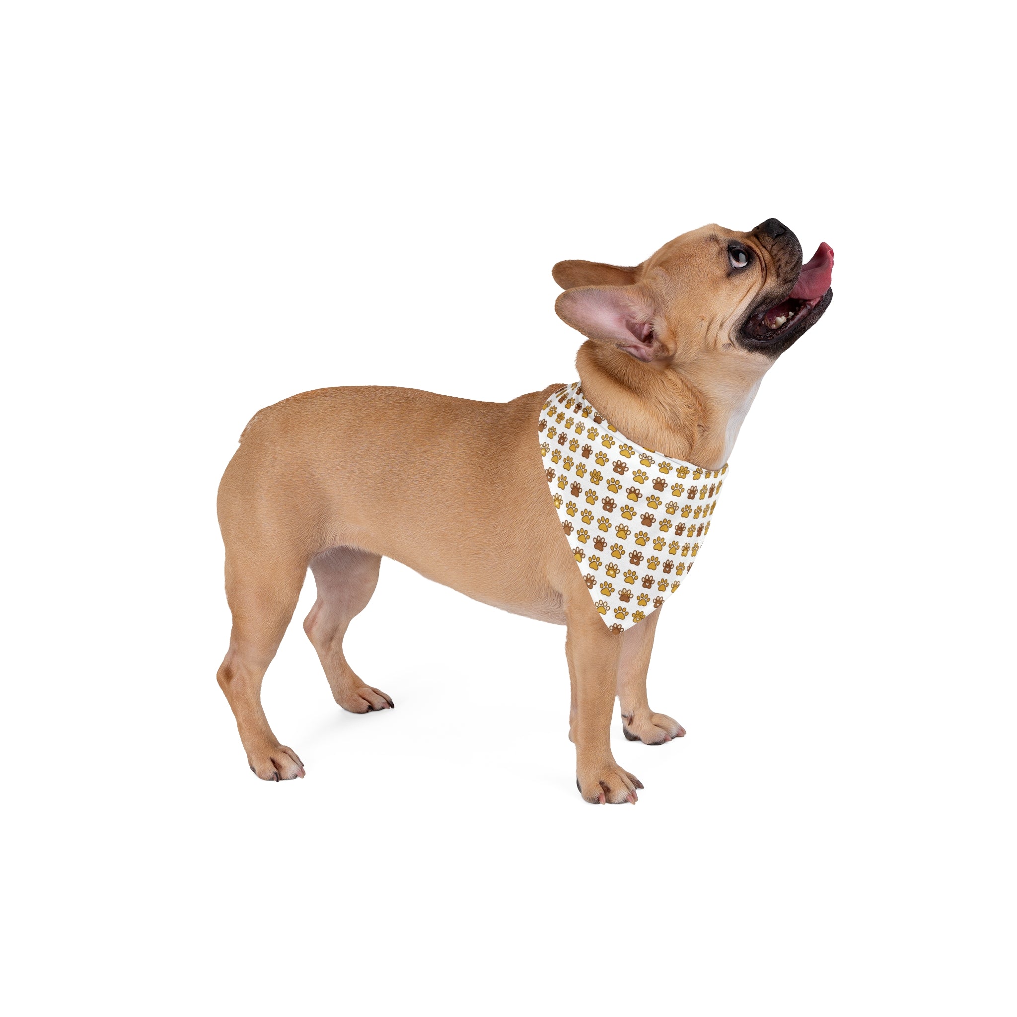 Paw Print Pet Bandana — Brown Patterned Dog & Cat Scarf