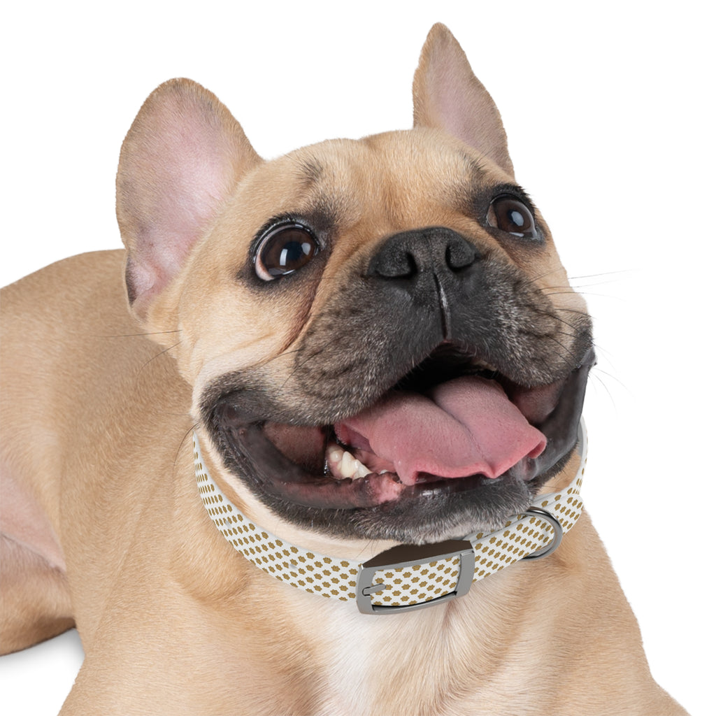Gold Paw Print Dog Collar — White Patterned Pet Collar