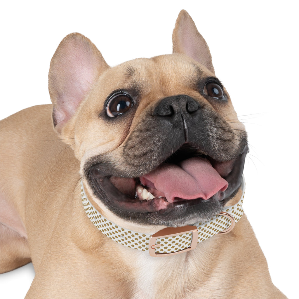 Gold Paw Print Dog Collar — White Patterned Pet Collar